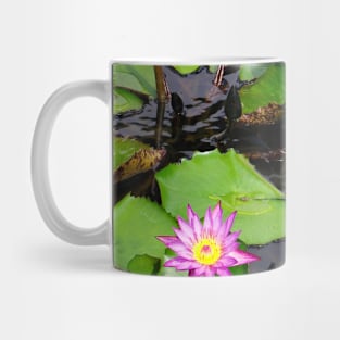 A beautiful water lily pond 3 Mug